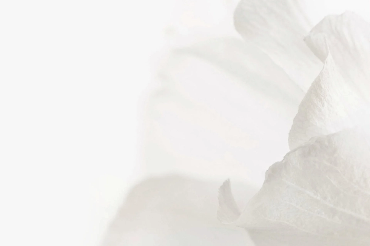 白い抽象的な画像