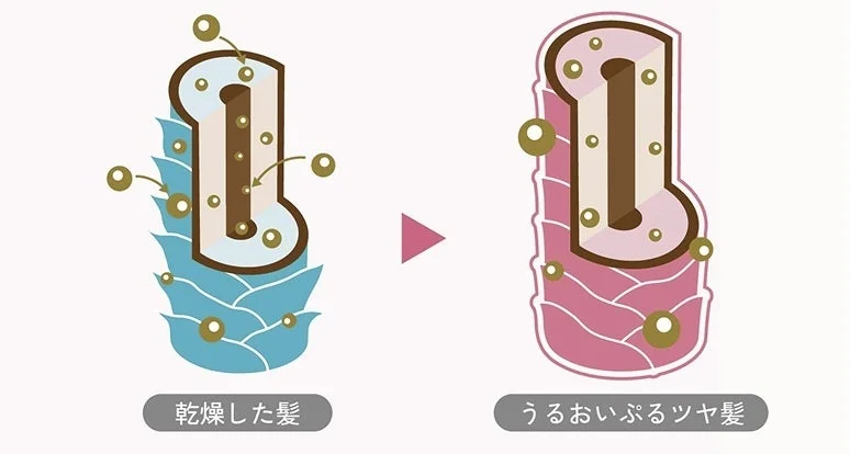 乾燥髪からうるおいツヤ髪へ