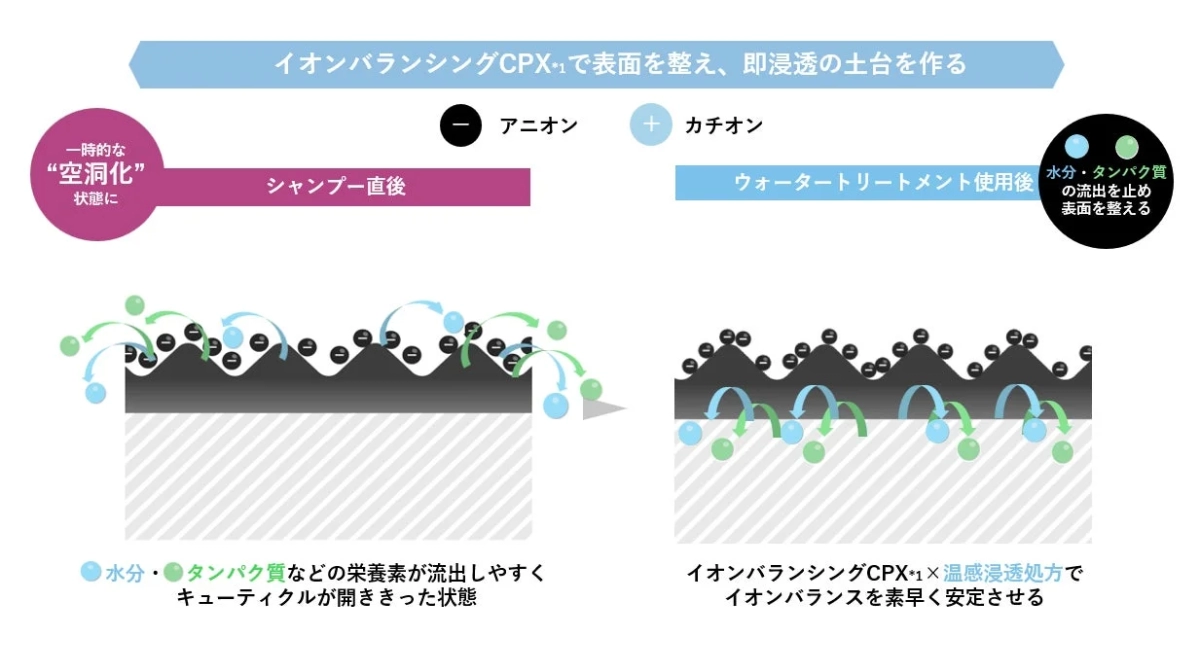 イオンバランシングCPXの説明図