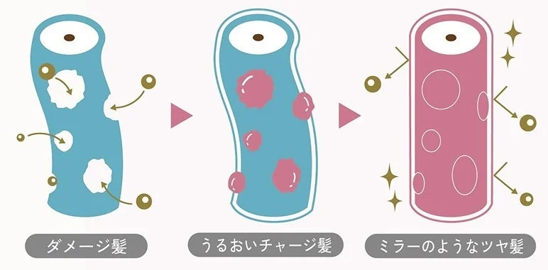 ダメージ髪からツヤ髪へ