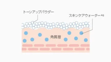 肌の角質層にトーンアップパウダーとスキンケアウォーターが適用された様子