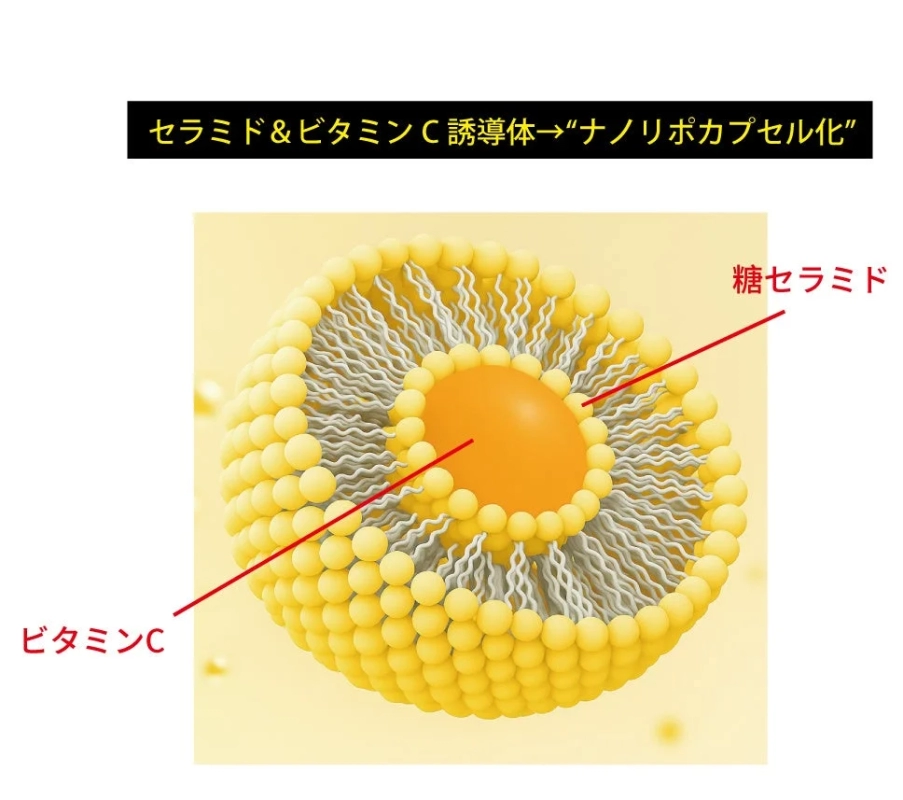 セラミド＆ビタミンC誘導体ナノリポカプセル化
