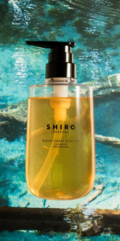 SHIRO PERFUME BLACK FOREST BLESSING シャンプー