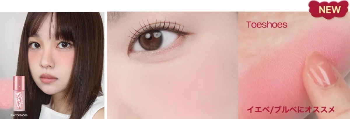 ブラリーピューレチーク F06 トゥシューズ