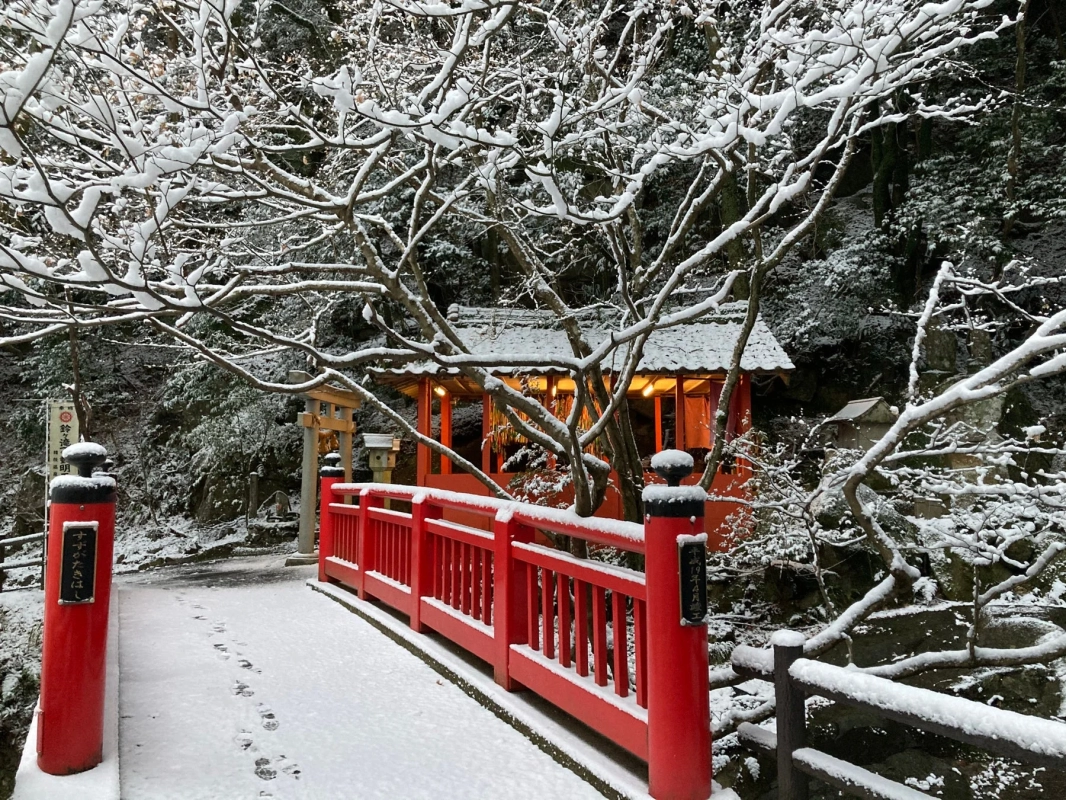 雪景色