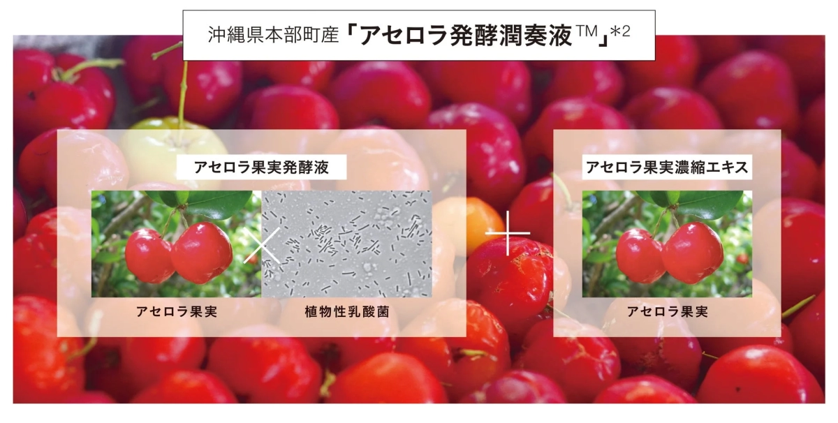 沖縄県本部町産アセロラ発酵潤奏液™の成分