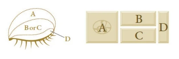 アイカラー使用方法図