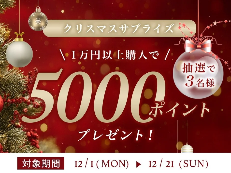 クリスマスサプライズ 1万円以上購入で 5000ポイント プレゼント！ 抽選で 3名様 対象期間 12/1 (MON) 12/21 (SUN)