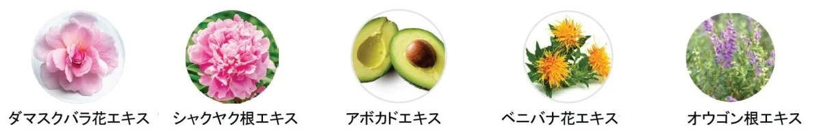 植物エキス成分図