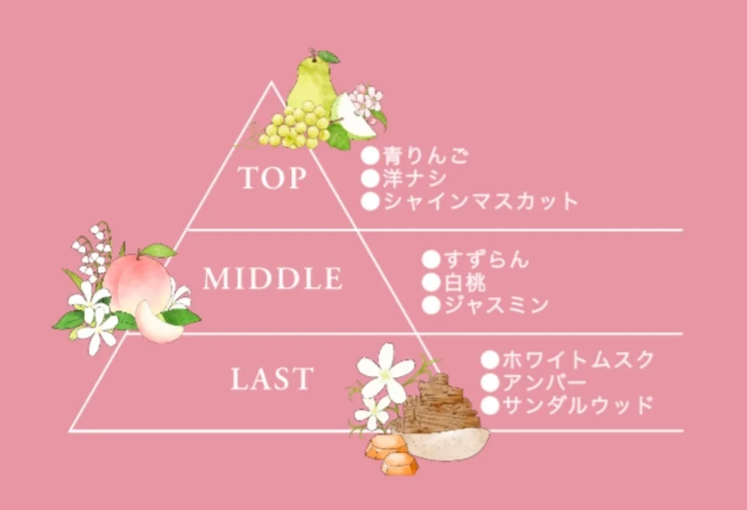 フレグランスピラミッドのイラスト