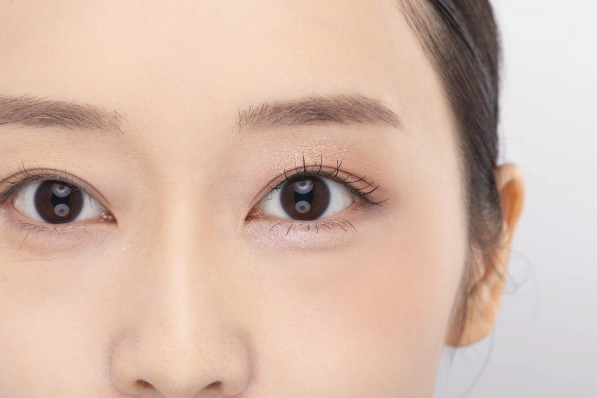 フェイスアイパレット新色03ノーブルベージュの仕上がりイメージ