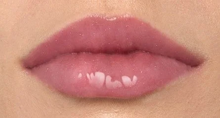 リフタープランプ L 製品特長2