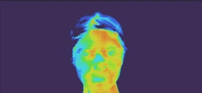 顔の熱分布を示すサーモグラフィー画像