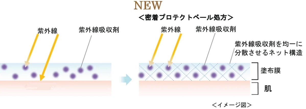 密着プロテクトベール処方のイメージ図